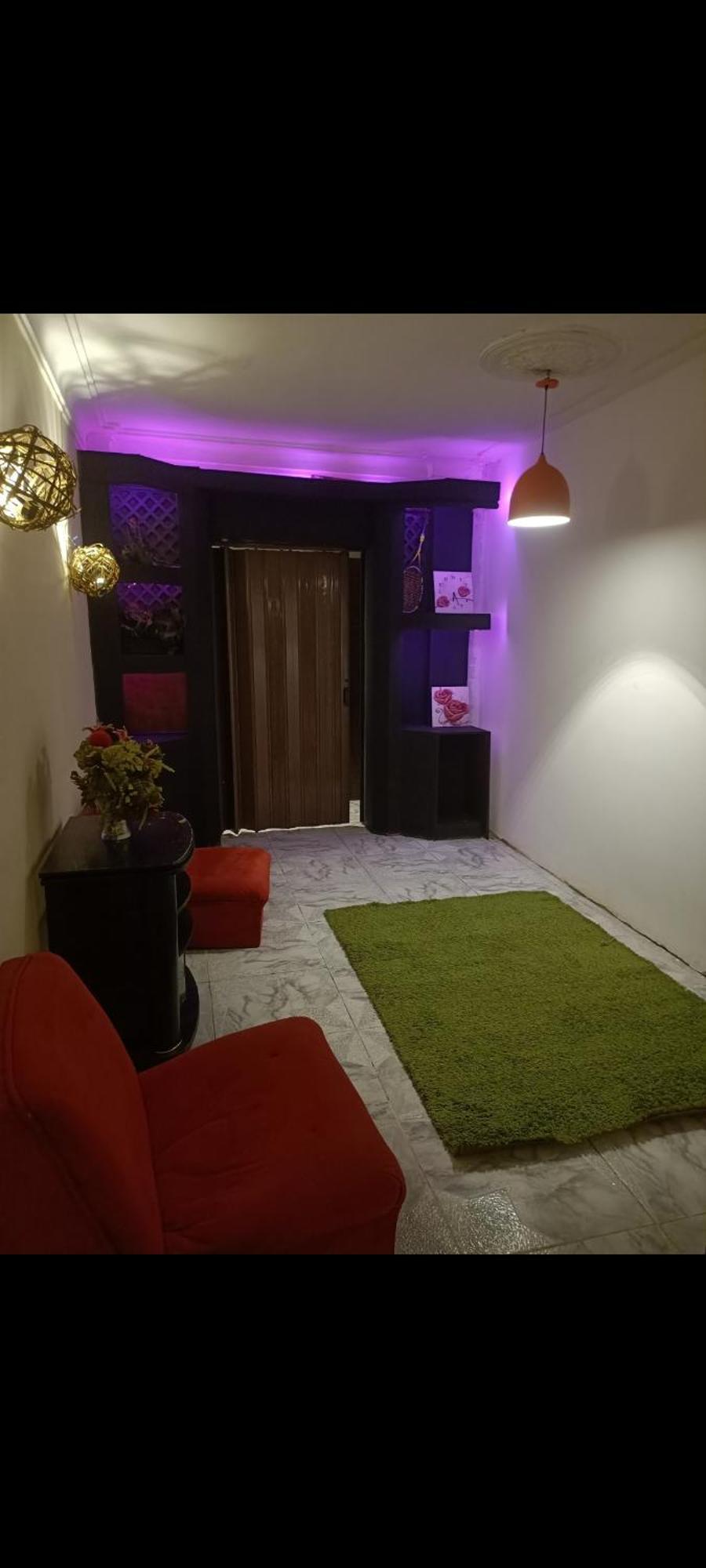 المنيل Apartment